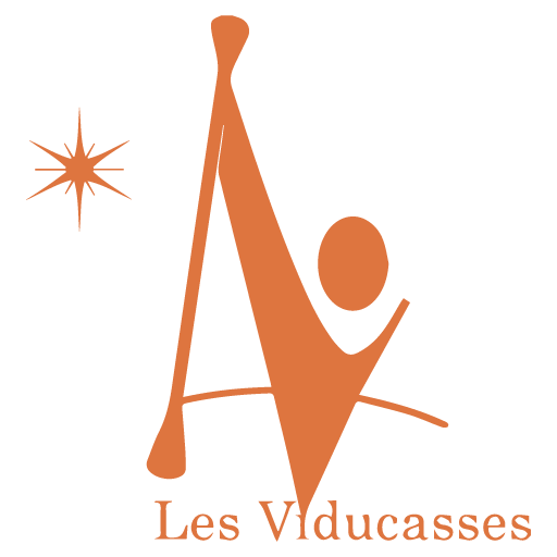 flavicon du logo de l'association les viducasse